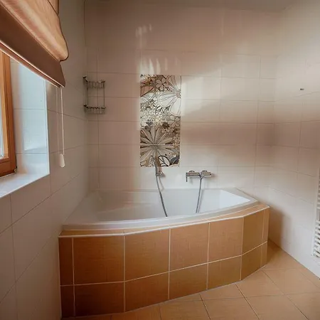 Hotel Wellness Energetic 4*