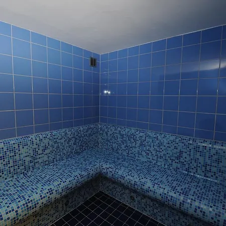 Hotel Wellness Energetic Roznov pod Radhostem