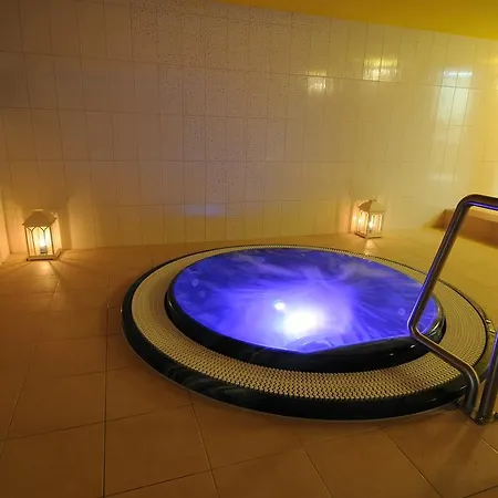 Hotel Wellness Energetic 4*
