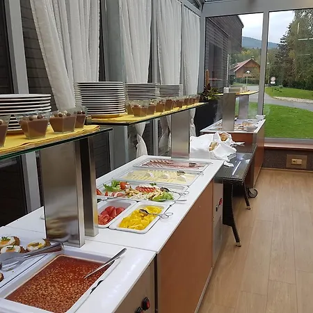 Wellness Energetic Hotel Roznov pod Radhostem