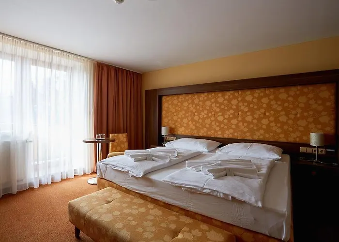 Wellness Energetic 4* Rožnov pod Radhoštěm
