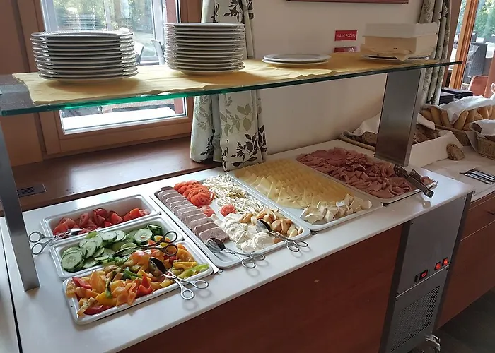 Wellness Energetic Hotel Rožnov pod Radhoštěm